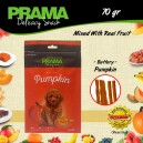 Prama Fruit Series Dog Snack Treats