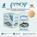 Pramy Pouch Kitten Cat Snack Cat Treats