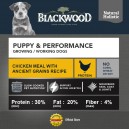 Blackwood Puppy Performance