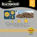Blackwood Kitten Food Chicken Rice