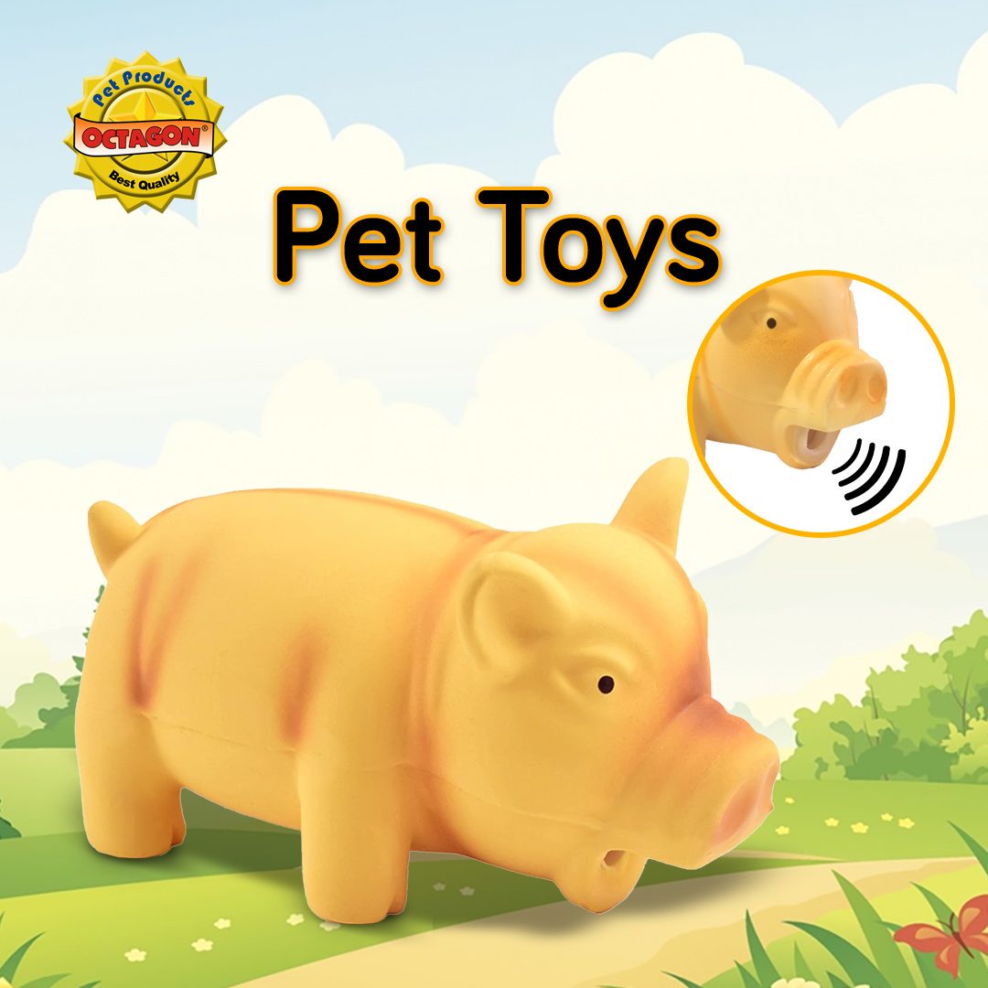 Squeak Pet Toy Pig