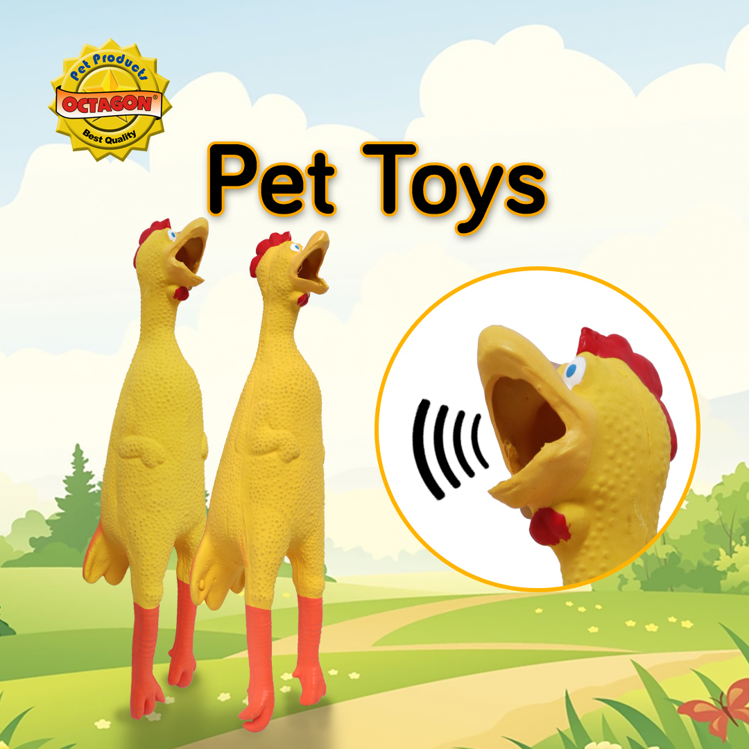 Squeak Pet Toy Chicken