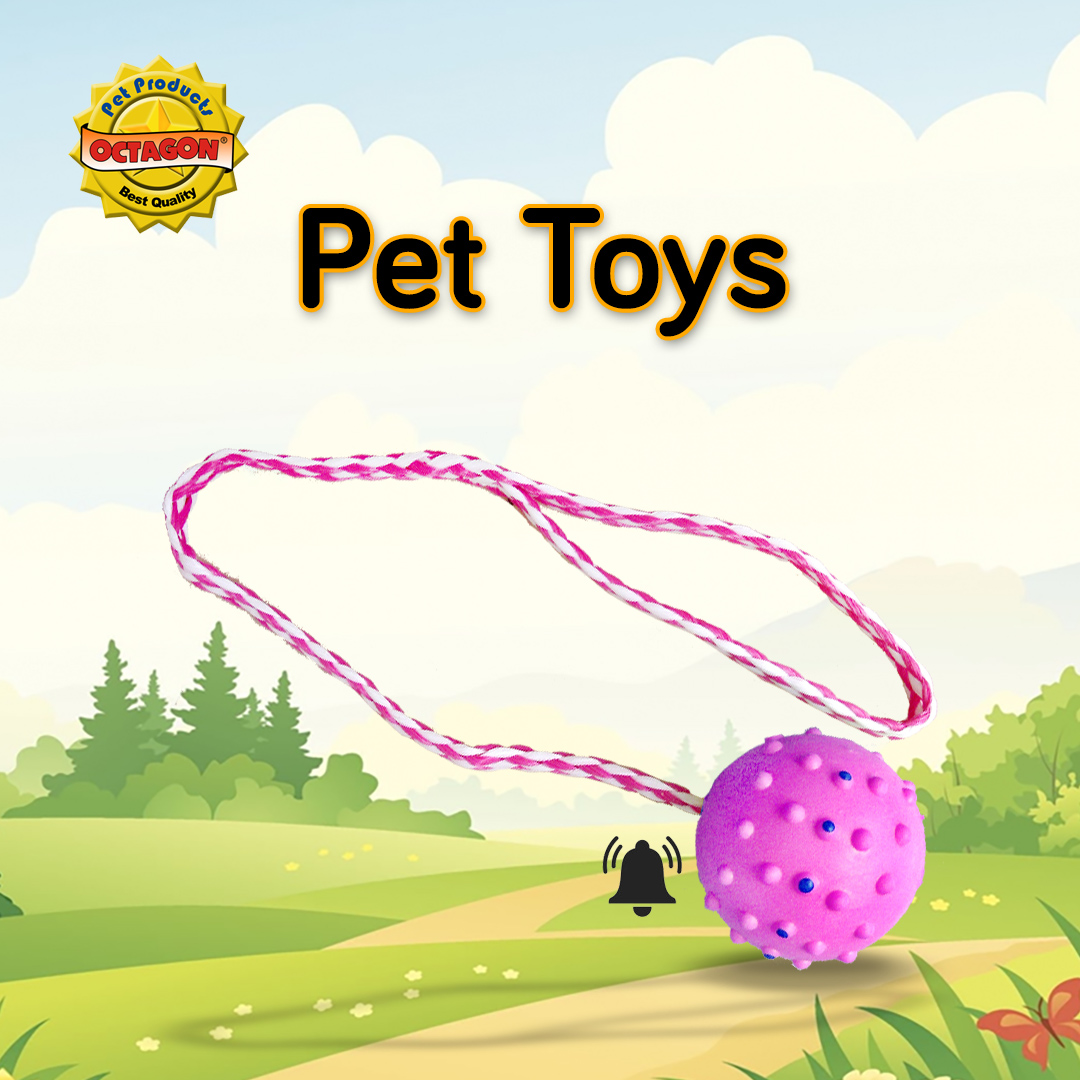 Rubber Ball With Rope