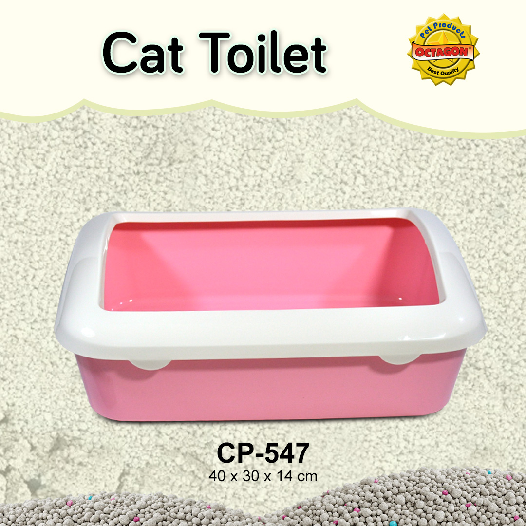 Cat Toilet
